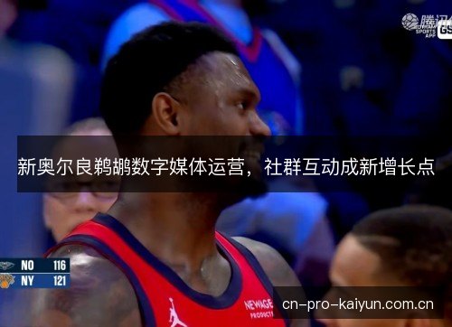 新奥尔良鹈鹕数字媒体运营，社群互动成新增长点