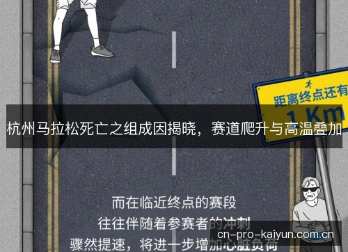 杭州马拉松死亡之组成因揭晓,赛道爬升与高温叠加 杭州马拉松死亡之组成因揭晓,赛道爬升与高温叠加