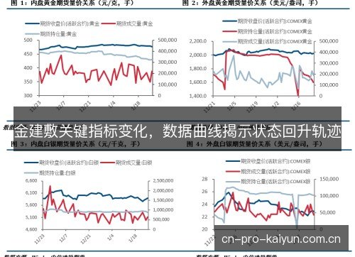 金建敷关键指标变化，数据曲线揭示状态回升轨迹